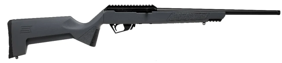 RXR22 .22 LR 16.5" TB Pic GMGrey/Syn 10rd