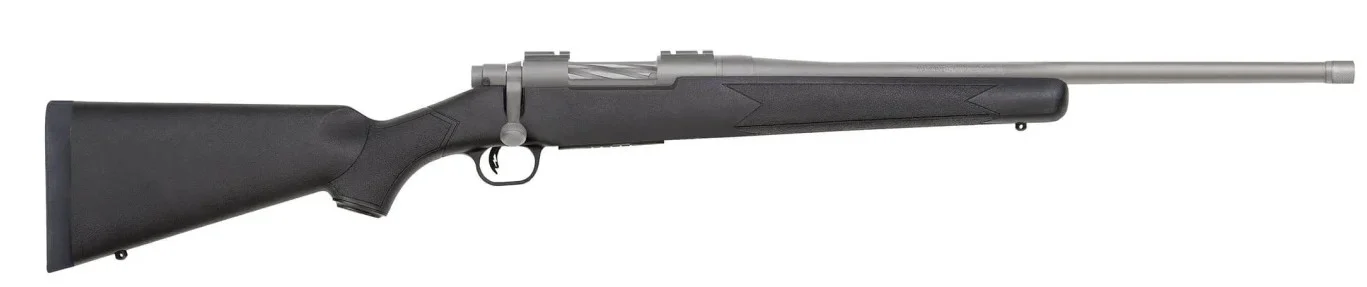 Patriot .450 BM 20" Syn FB Blk/SS 4-rd