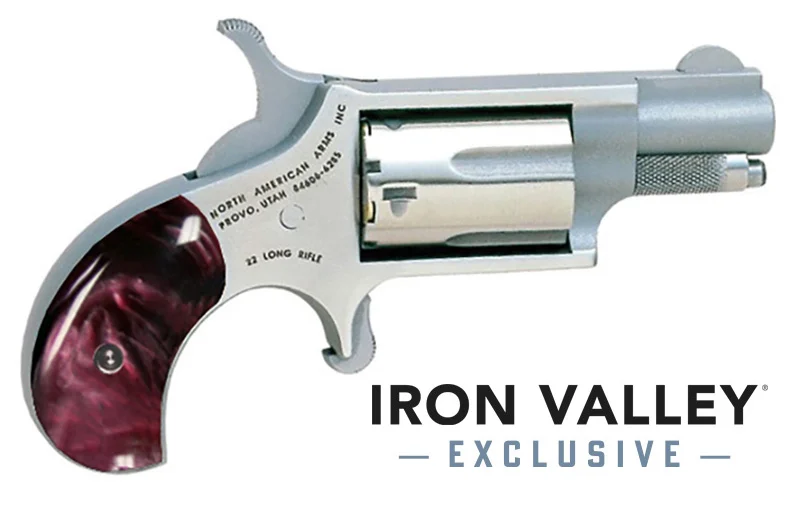 Mini-Rev 22LR 1 1/8"S FS Prpl Pearl Grp