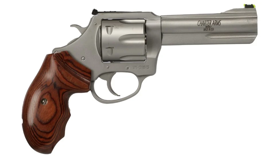 CHARTER ARMS THE PROFESSIONAL 357MAG SS