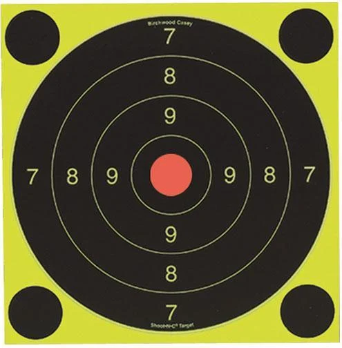 Birchwood Casey Shoot-N-C International Target