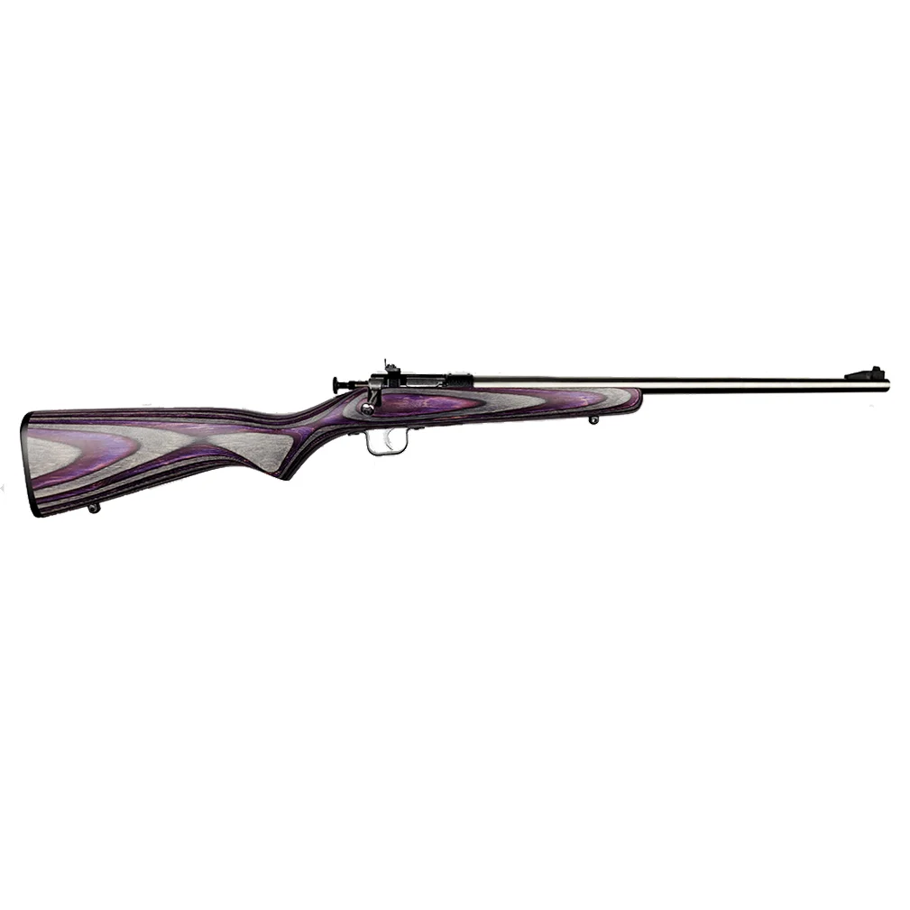KEYSTONE SPORTING ARMS CRICKETT 22LR SS/PURPLE LAM